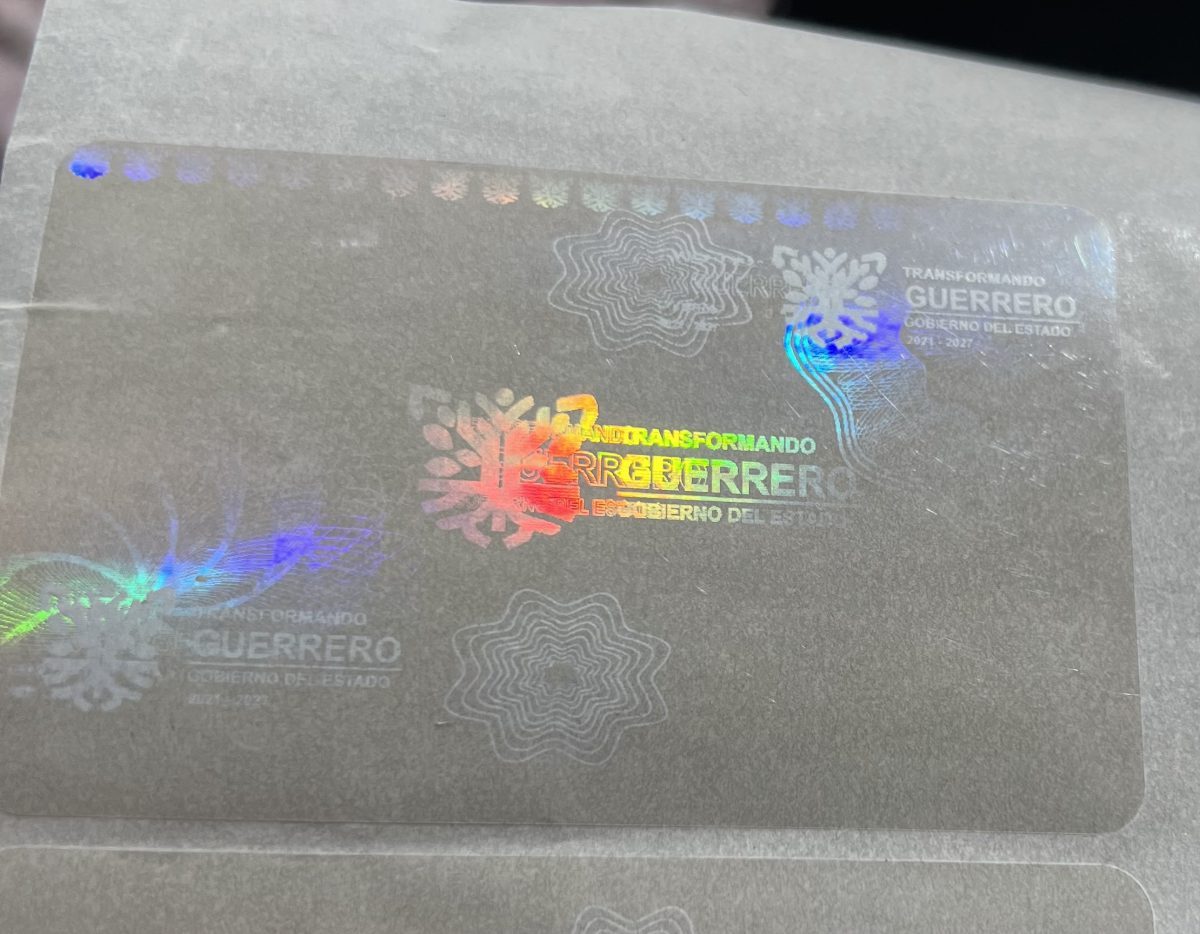 Holograma Completo Guerrero H-809