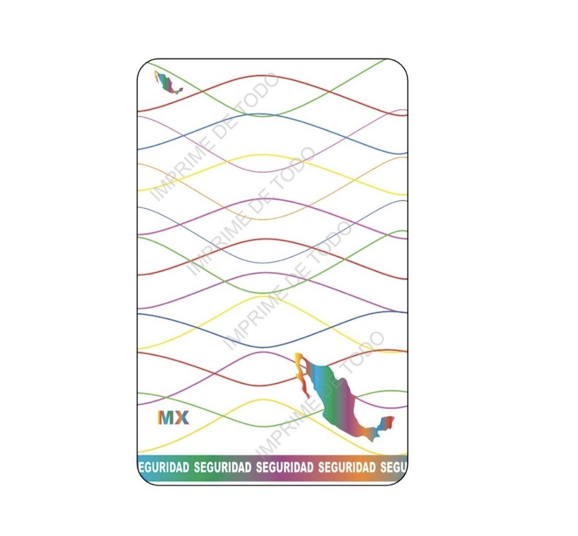 Holograma Completo MAPA VERTICAL H-509