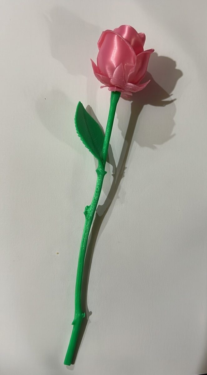 Caja con Rosa Personalizada 3D